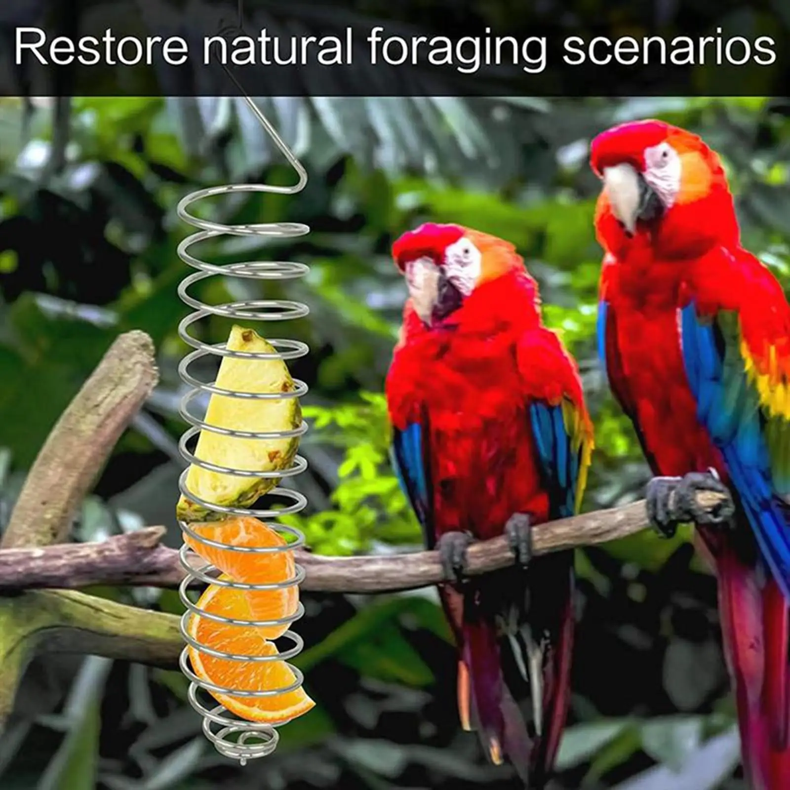 Spiral Parrots Foraging Toys Bird Fruit Feeding Tool Bird Food Basket Food Holder for Grain Fruit Birdcage Pet Accessories bird feeder parrot feeder