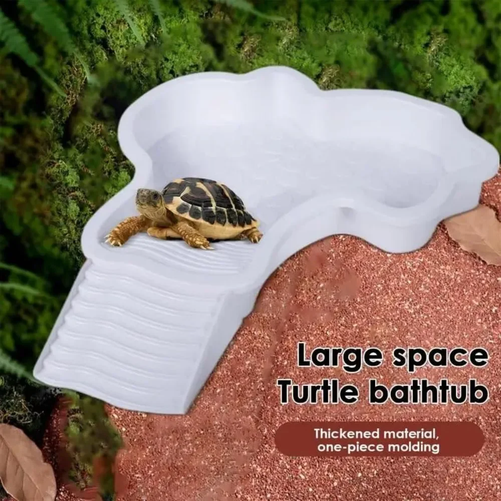 Turtle Bathing Pool Bowl 5