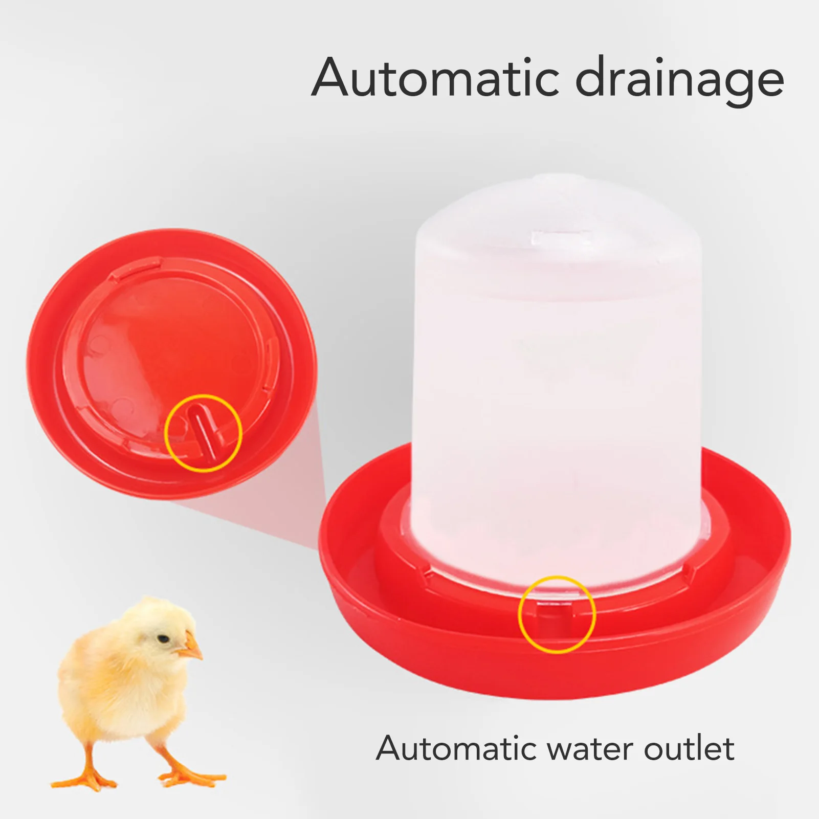 Chick Feeder and Waterer Kit Rotary Sleeve Design Automatic Feeding and Watering Poultry Feeder Waterer Combo Poultry poultry feeder poultry waterer
