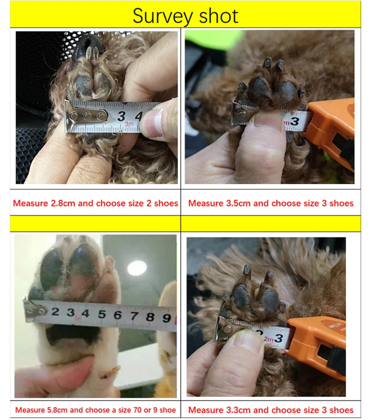 S1d1aec965ad9407e955e647e565f6342F