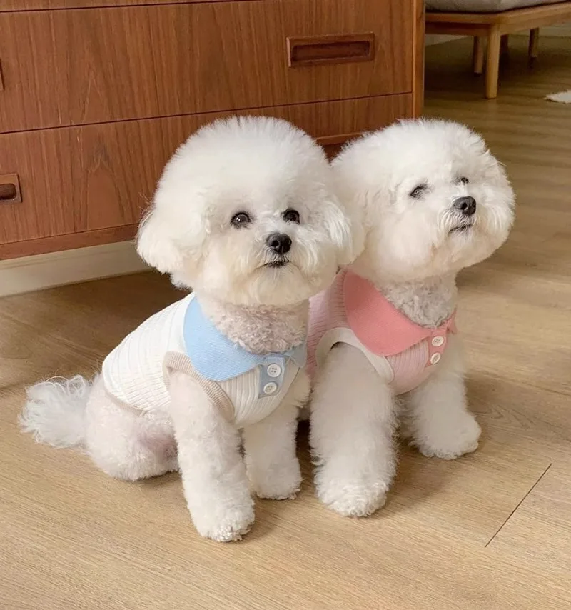 작은 중형견용 통기성 얇은 옷깃 개 조끼, 여름 개 티셔츠, 고양이 캐주얼 반려동물 옷, 치와와 비숑 테디 코스튬
