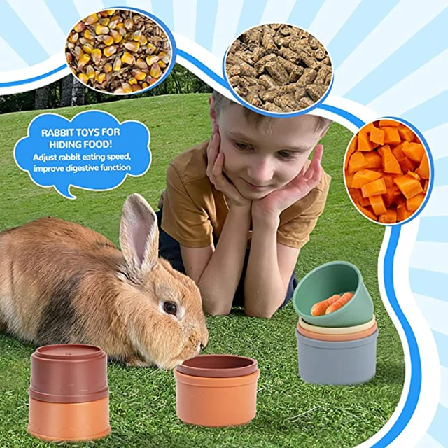 Stacking Cups Toy For Rabbits 5
