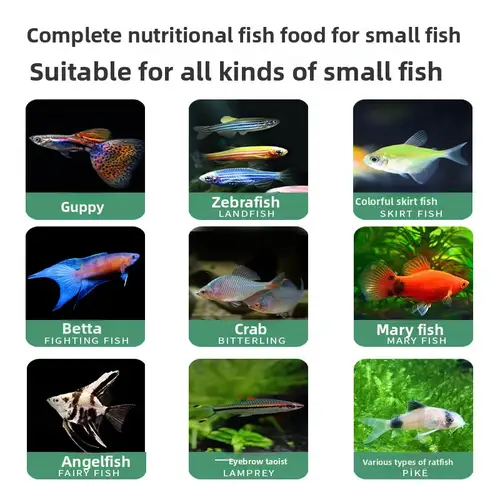 SONXI Nano Fish Food - Premium Micro Pellets for Guppies, Endler's Livebearers, Rasboras & Small Tetras - Image 3