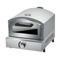 Gas Stainless Steel Grilled Steak Machine Pizza Oven Commercial Outdoor Baking Oven for Sale 10L 2