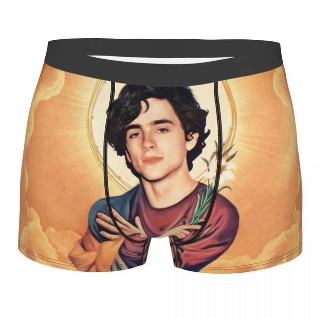 Saint Timothee Chalamet Men Underwear Call Me by Your Name Timmy Boxer  Briefs Shorts Panties Mid Waist Underpants for Male - AliExpress