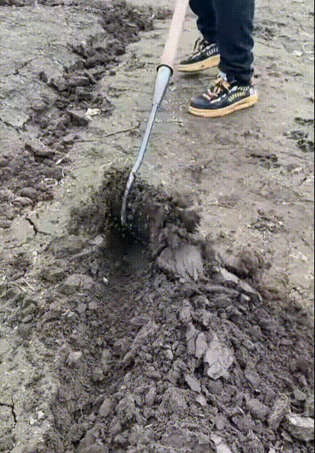 Description Picture 2 of itemHandheld Hollow Hoe Thickened Manganese Steel Agricultural Weeding Hoe Planting Vegetable Gardening Loosening Soil Weeding Tools