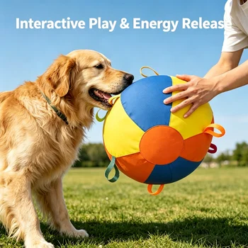 Inflatable Dog Ball 1