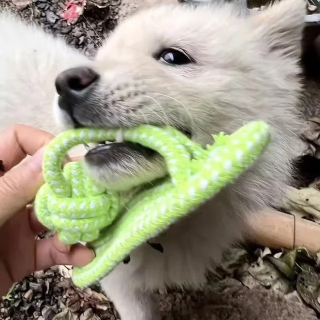 Pet Cotton Rope Slipper Knot Toy For Small Dogs Interactive Chew Toy Dental Clean Teeth Grind Tartar Control Non Toxic Dog Toys 6