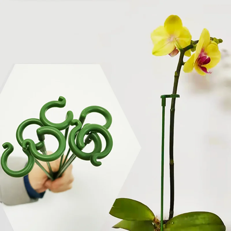 10pcs Plastic Plant Supports Flower Stand Reusable Protection Fixing Tool Gardening Supplies for Vegetable Holder Bracket 4