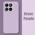 Grass Purple