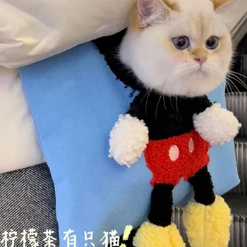 고양이 운반 가방 애완 동물 외출 가방, 휴대용 고양이 어깨 가방, 강아지 노출 핸드백 캔버스 가방, 산책 고양이 가방, 작은 강아지 귀여운 가방