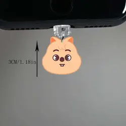Stray Kids Acrylic Phone Dust Plug - KPOP Fan Gift Accessory (3 for type - c)