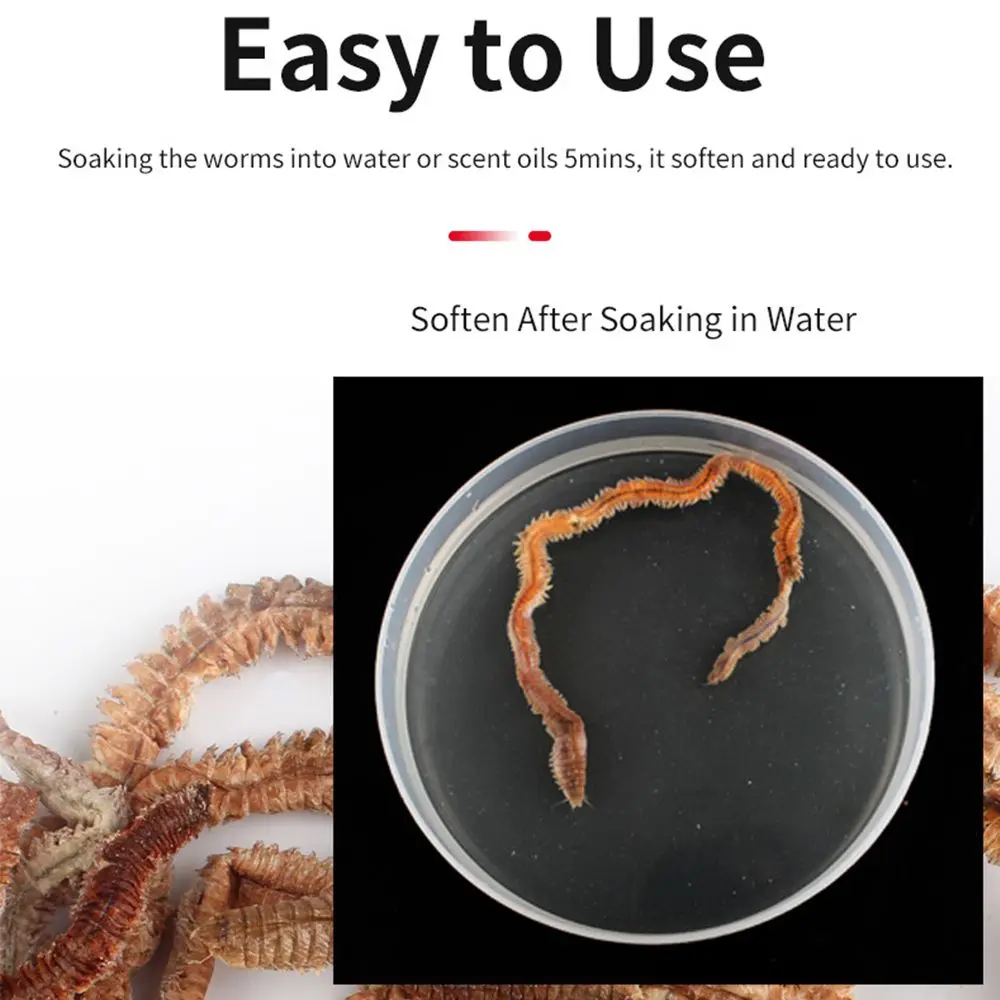 1Pack 2021 Peche Worms 6g 10g Silicone Baits Dry Lugworm Fishing Power Lures Sandworm