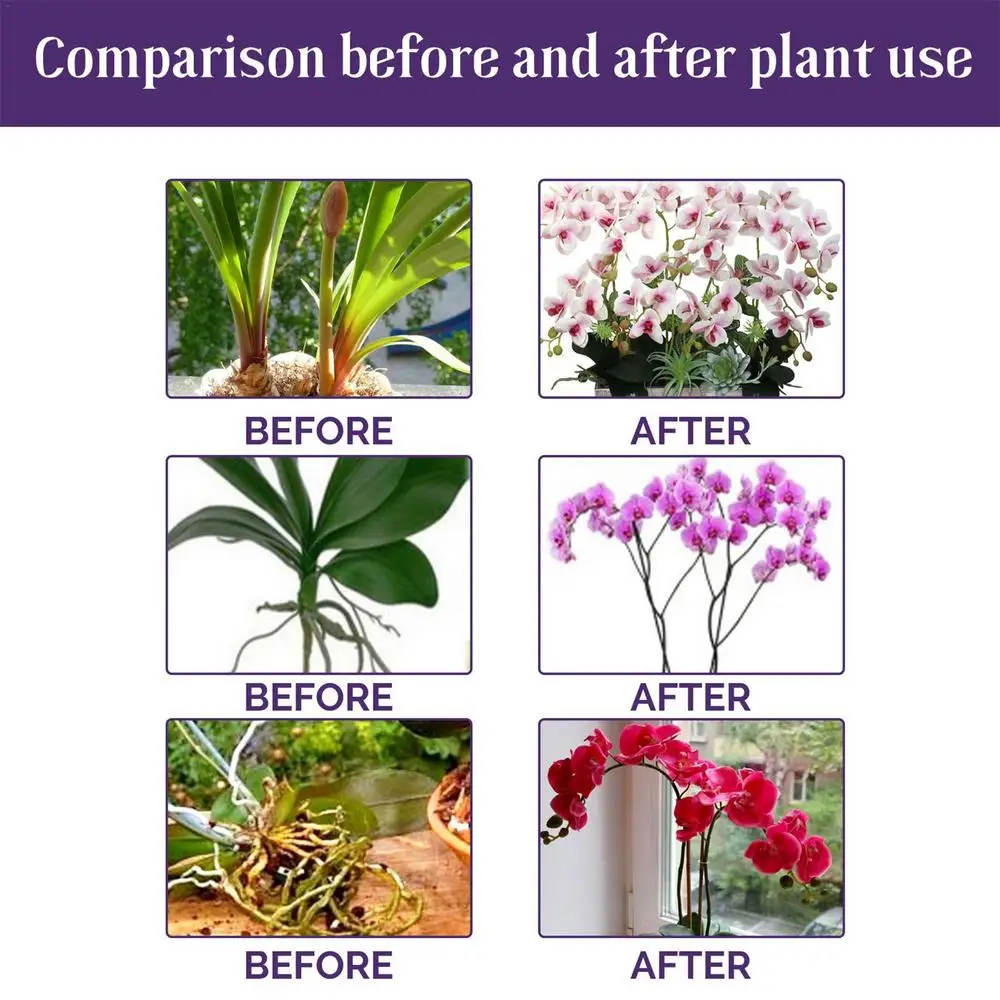 Description Picture 6 of item50ml Orchid Special Fertilizer Rooting Liquid Plant Rapid Rooting Agent Flowering Organic Fertilizer For Acid Loving Houseplants