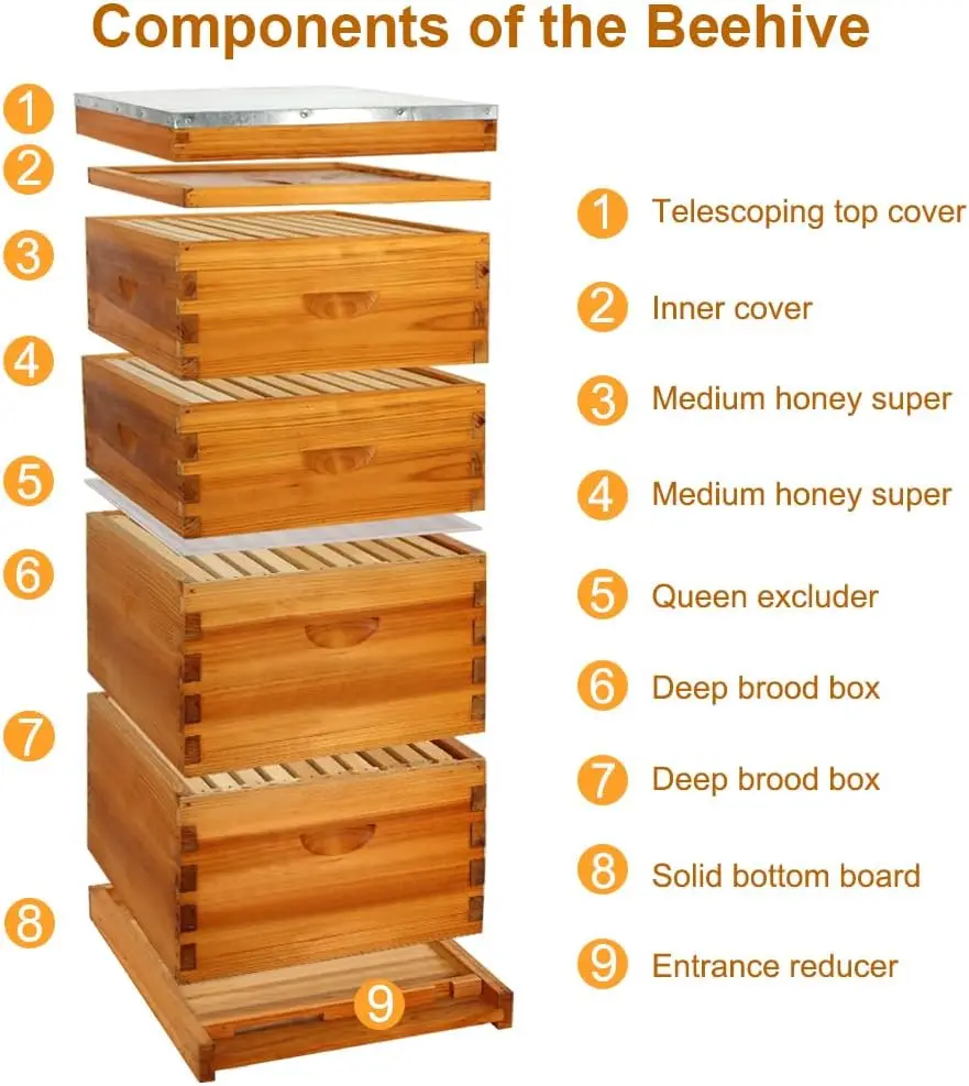 Langstroth Complete Beehives Starter Kit Includes 2 Deep Brood Box and 2 Medium Super Box