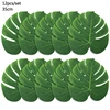 12pcs-C