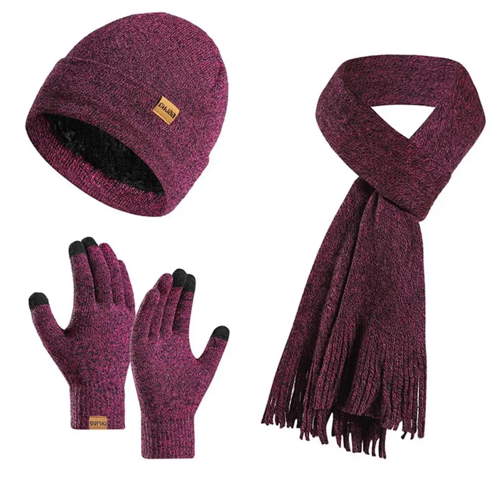 Winter Hat Scarf Gloves Set Thick Knitted Soft Warm Ear Protection Windproof Outdoor Thermal Cap Scarf Touch Screen Gloves Set