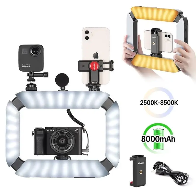 

U-200 Smartphone Video Rig LED Video Light 2 in 1 Ring Light with Cold Shoe for Microphone Tiktok Youtube Live Rig Light