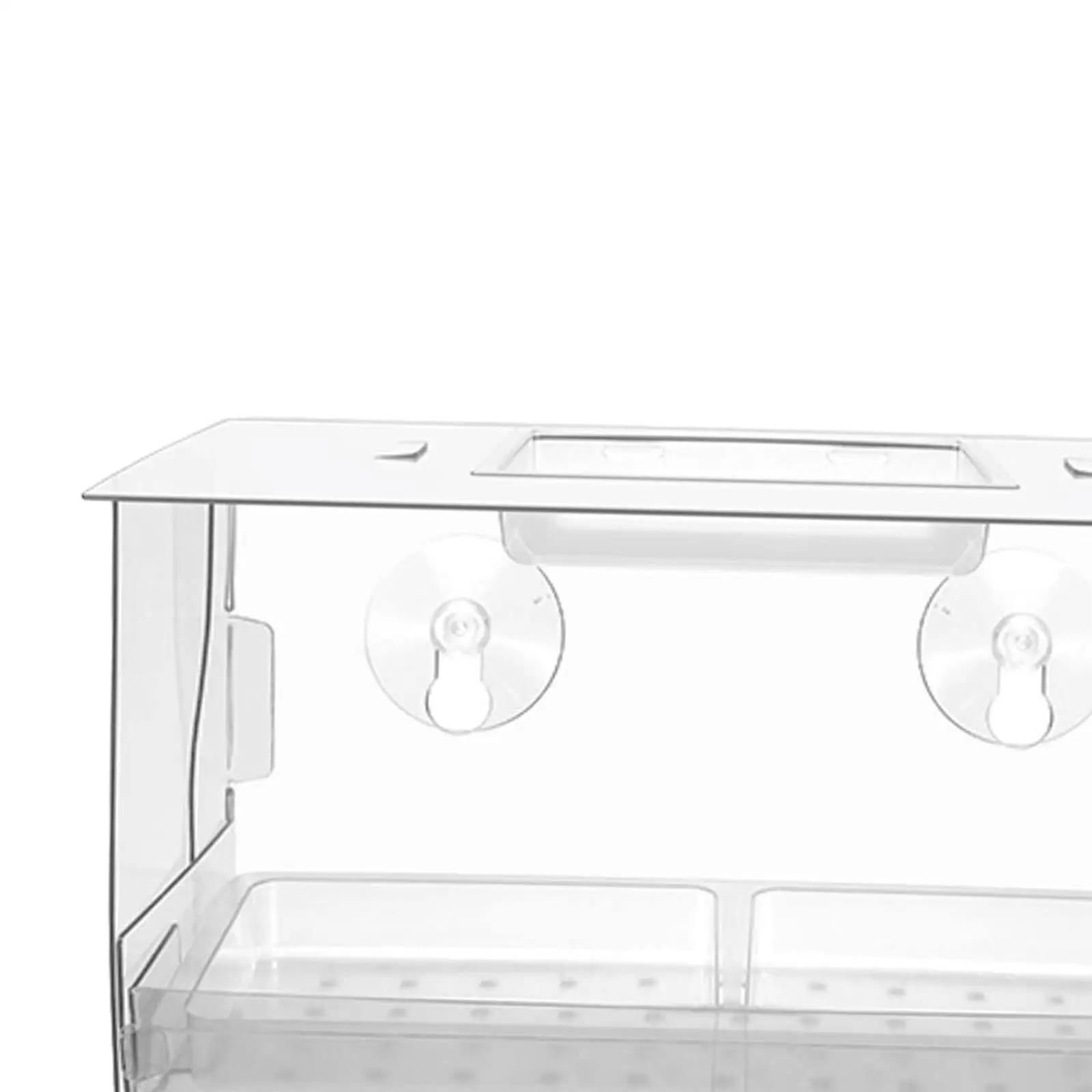 Window Bird Feeder Bird Watching Outdoors Birdfeeder Clear House for Wild Birds Bluebird Chickadees Viewing Finches