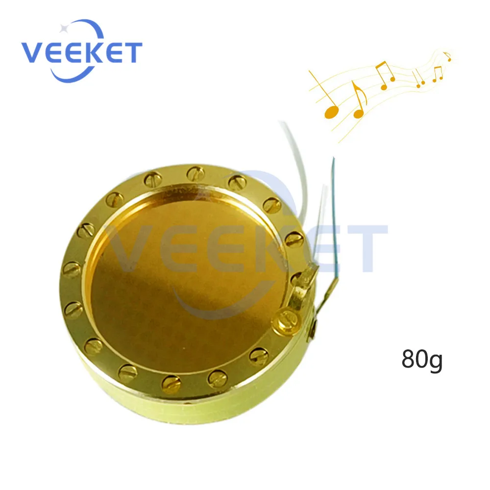 MicrophoneDiaphragmCartridgeCoreCapsuleLargeDiaphragmCondenser