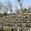 3D Bionic Maple Leaf Camouflage Cloth Aerial Photography Camo Net Jungle Mine Concealment Cover Cloth Tree Blind 3