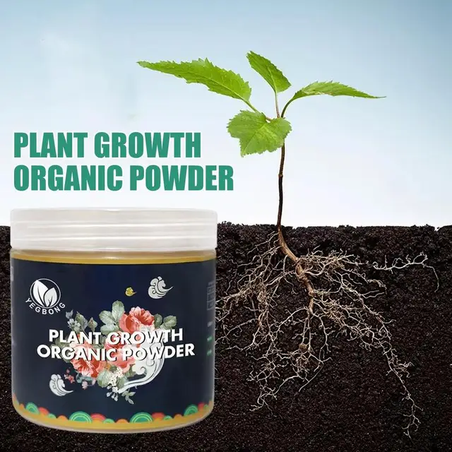 식물 성장 자극기: 뿌리 발달 촉진부터 영양공급까지