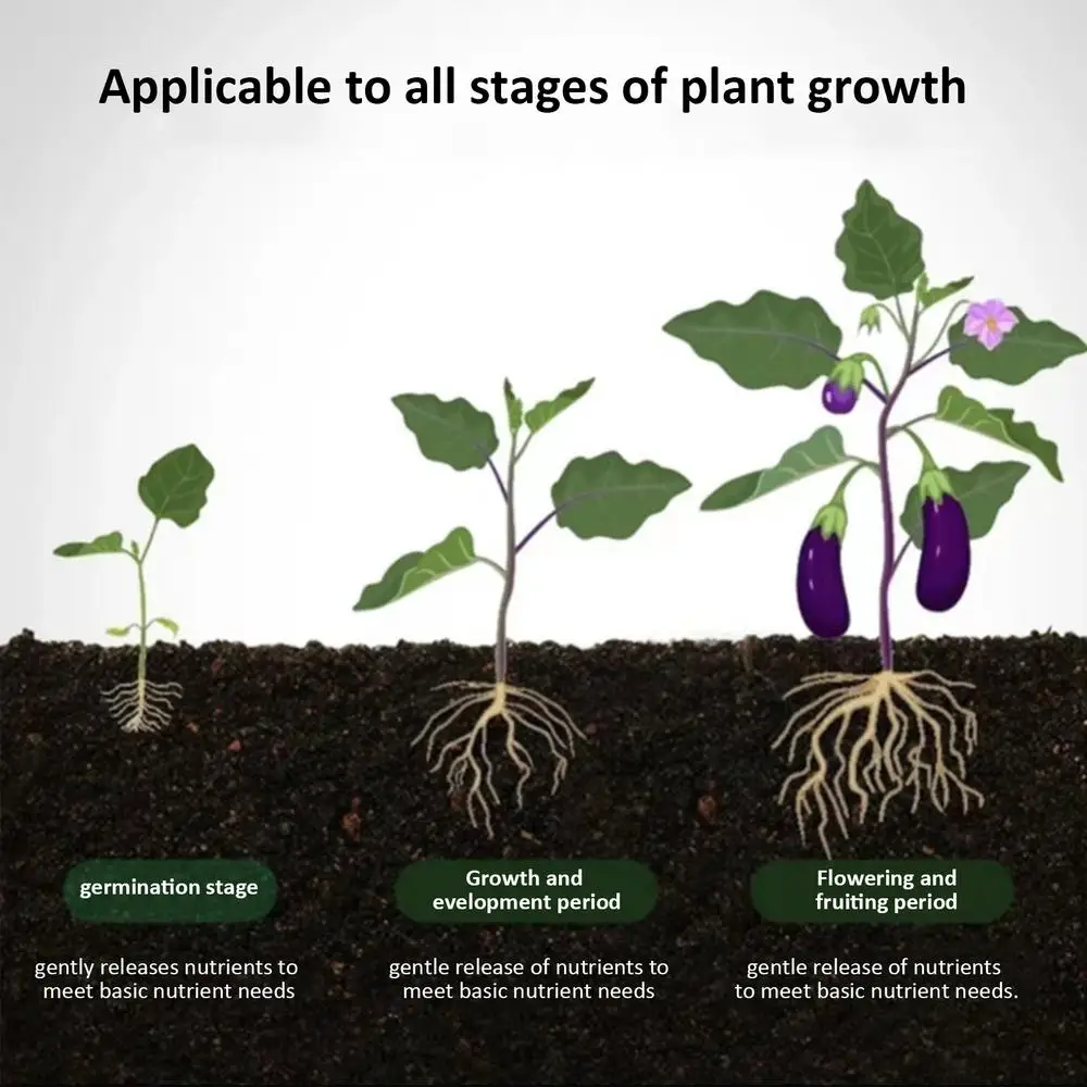 Description Picture 5 of itemPlant Growth Enhancer Universal Potted Plant Stick Plant Growthing Fertilizer For Beginner Expert Gardener For Roses Pothos