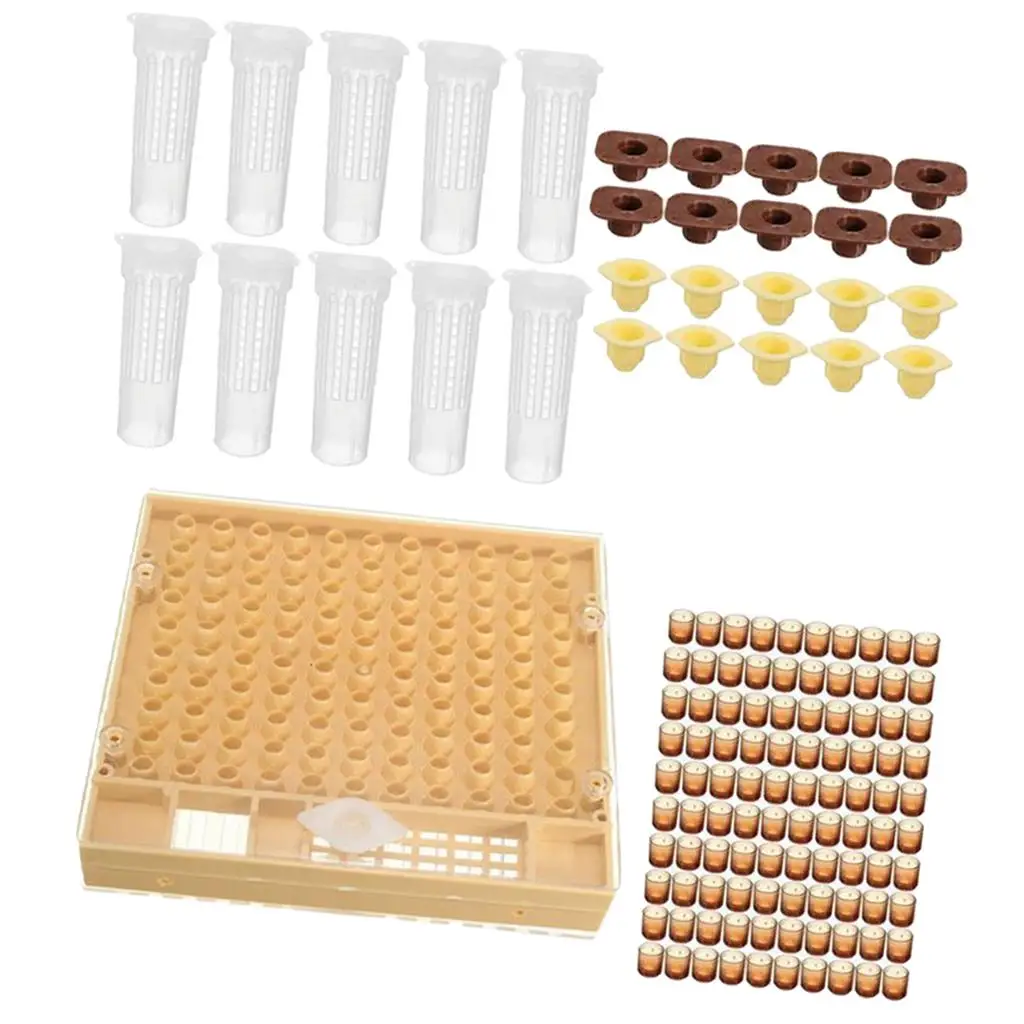 Beekeeping Tool Kit Queen Rearing System cup of Holder Cage