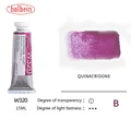Quinacridone Violet