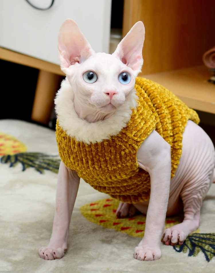 Sweater for Kitten  Louis Vuitton Vest for Sphynx, Lamb Fleece