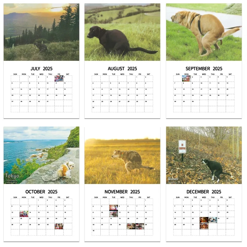 Wall Calendar 2025 Dogs Pooping Beautiful Places Funny Gag Gifts Holiday Christmas White Elephant Gifts