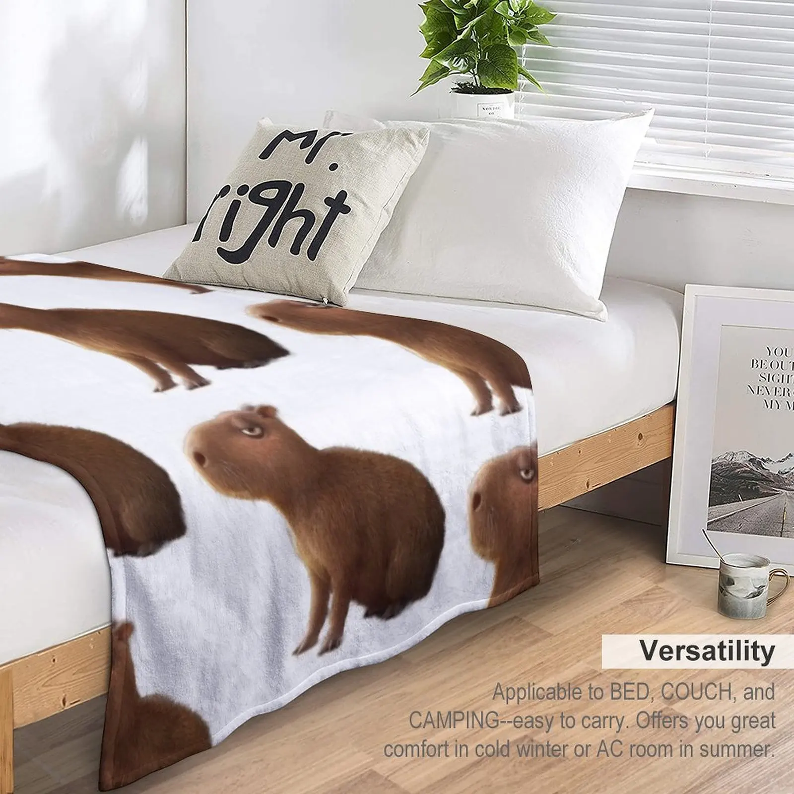 Capybara Capybara ���� ������ ���, ħ�� ���, ��� ���