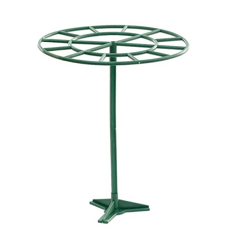 

Garden Plant Stake Floral Plant Stakes Floral Plant Stakes Plant Stakes For Indoor Plants Garden Plant Cage Stake Support Plant