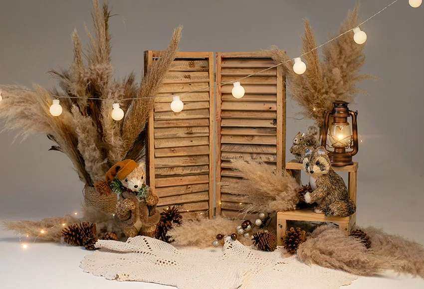 Mehofond     Ȱ 䳢 Boho Pampers ܵ   ʻȭ  ,  Ʃ