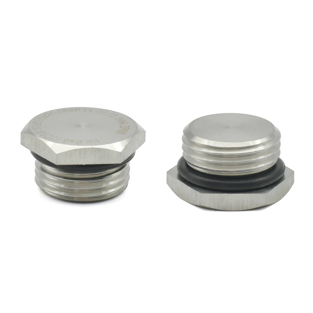 Stainless Steel Pipe Fittings 1/8-1-1/2 BSP NPT Male Countersunk Flange Hexagonal End Plug Cap