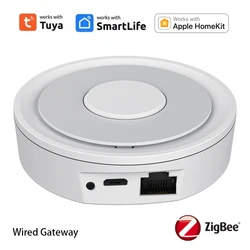 Smart Zigbee 3.0 Hub for Seamless Home Automation Integration