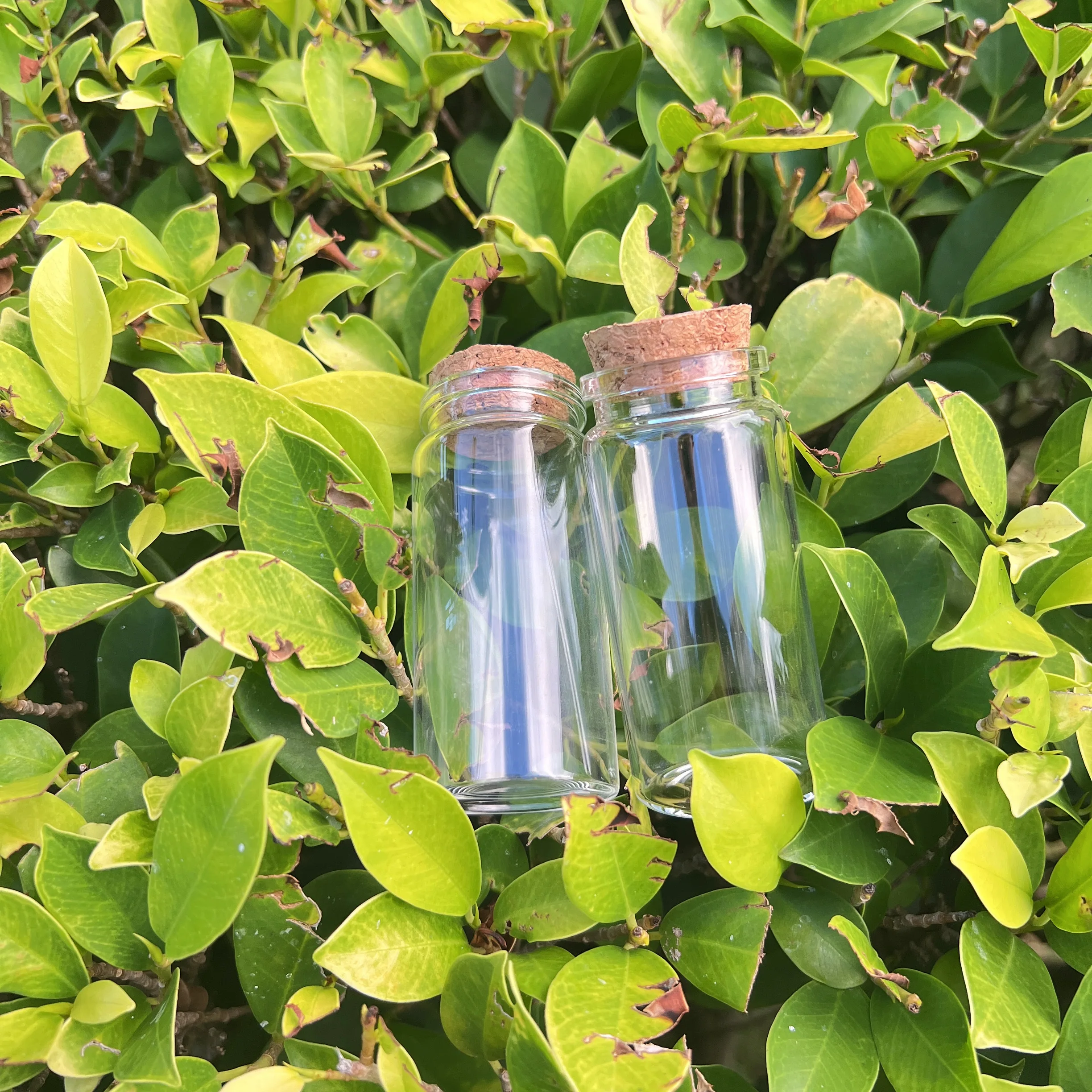 Cute Glass Jars 12pcs 15pcs 37*80mm Capacity 60ml Glass Bottles With Cork Small Mini Empty Vials Jars Wishing test tube