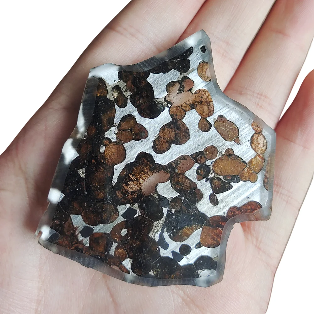 Фото 23,3 г, ломтики оливкового метеорита Seymchan Pallasite, натуральный материал метеорита, коллекция нарезанных ломтиков-CA98 №5