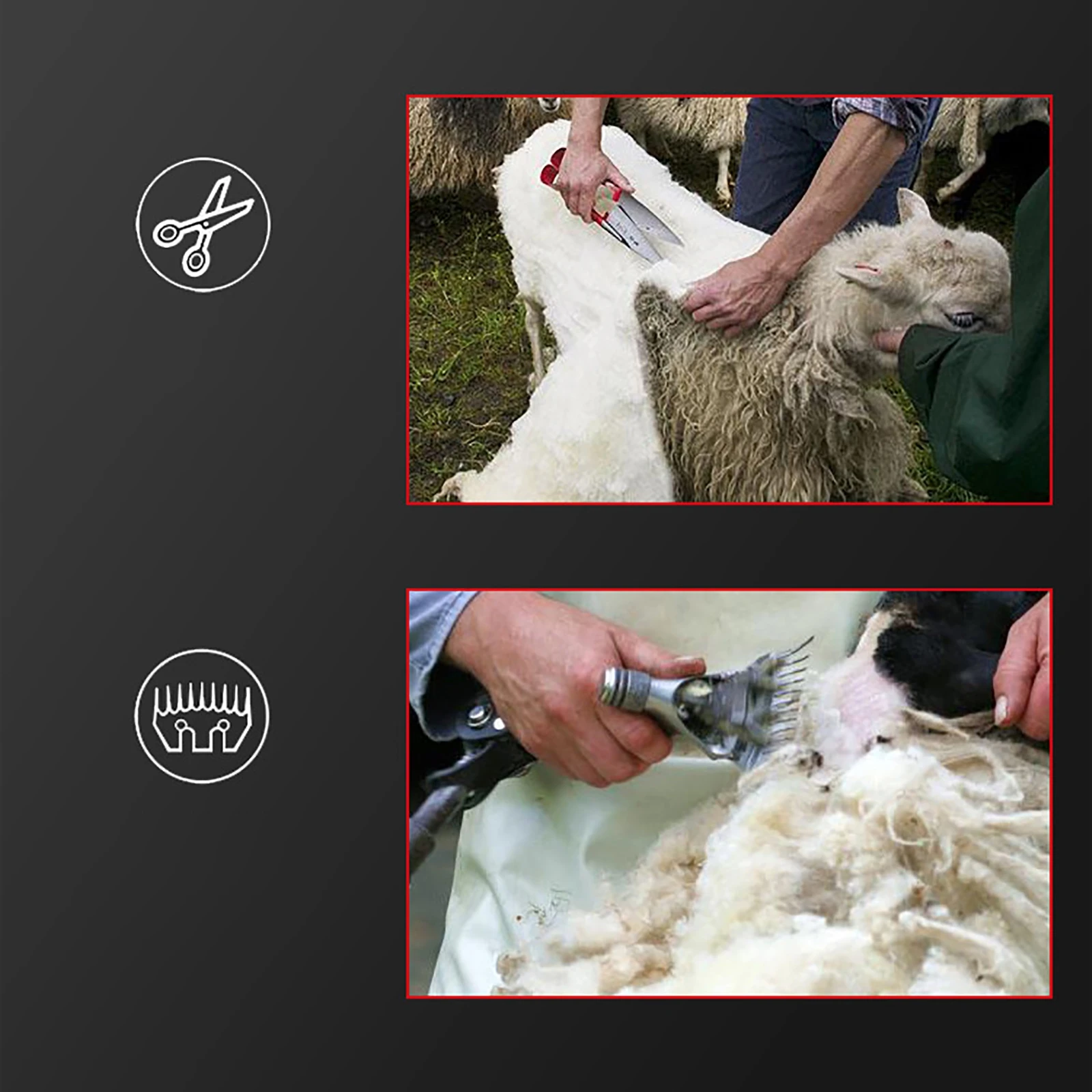 Tondeuse à Moutons Électrique Professionnelle 690W pour Moutons, Couleur  Noir
