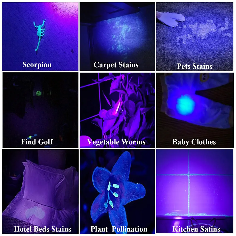 Mini 365nm 395NM UV Flashlight Ultraviolet Blacklight USB Rechargeable Purple Linternas Carpet Pet Urine Detector Catch Scorpion images - 6