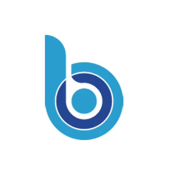 BAISHANGSI Pneumatic Tools Store