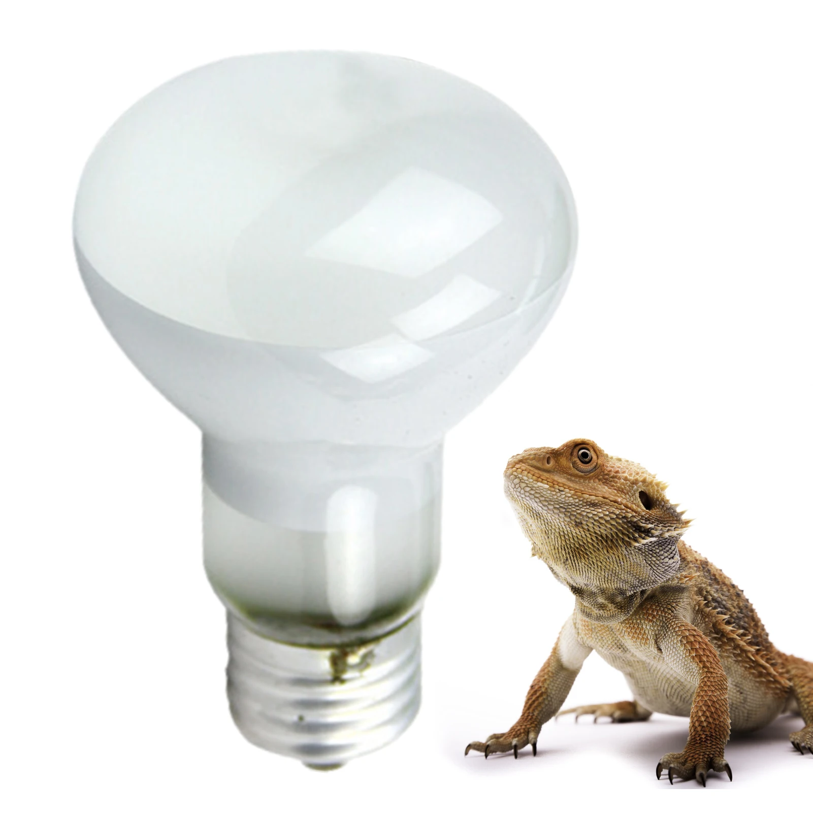 Uvb Light For Bearded Dragons lupon.gov.ph