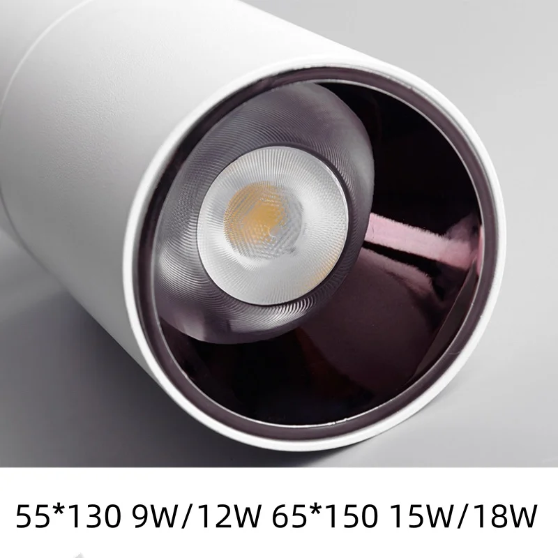 Spotlight Image 2