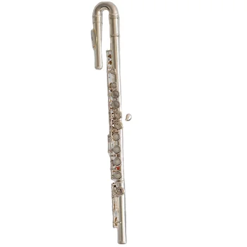 16 Closed Hole Beginner Flute Instruments