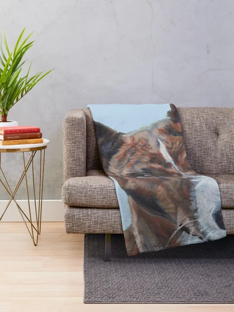 Basenji  Ʈ   ,  ħ,   ũ 