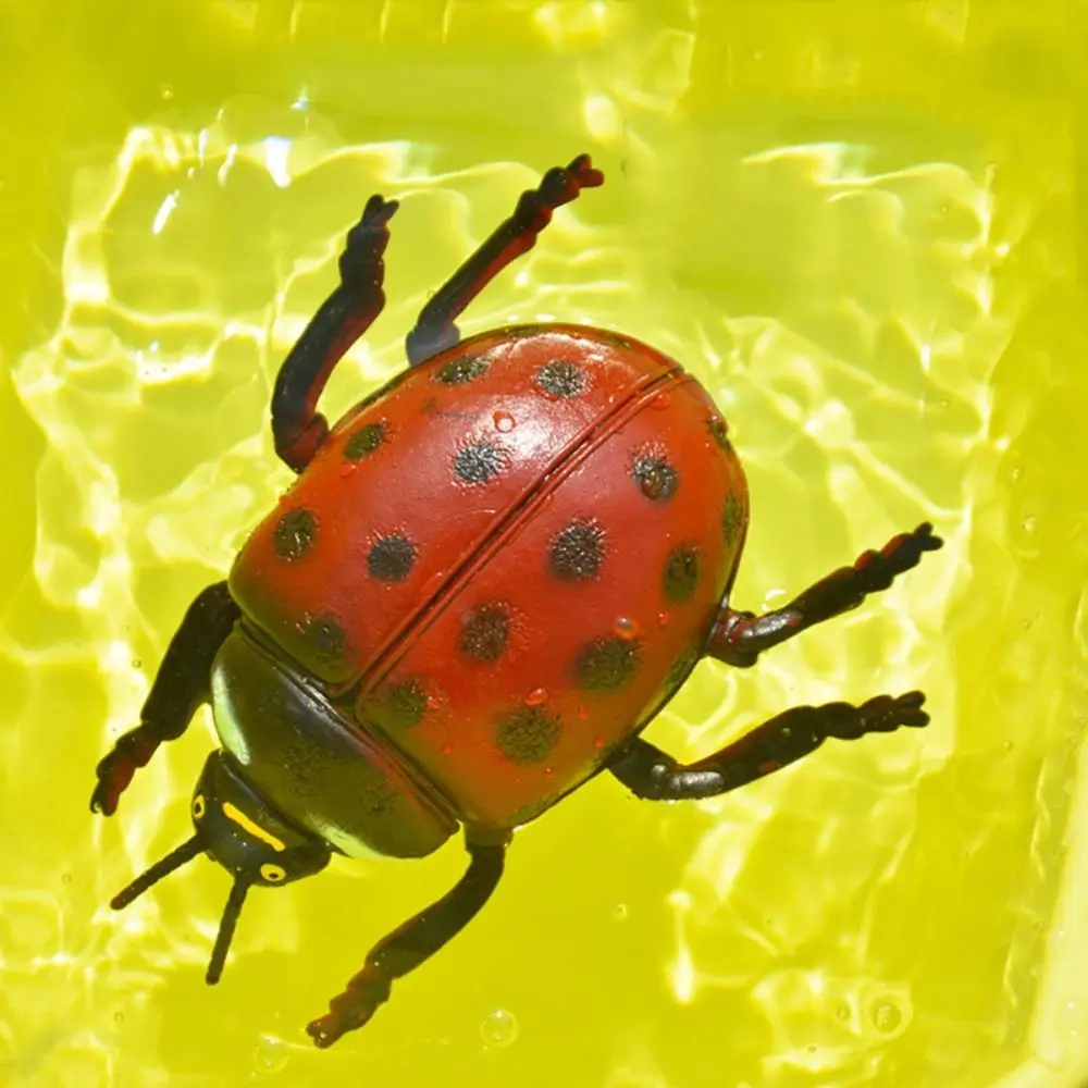 Рисунок 5 - Игрушка-паук для Крикета