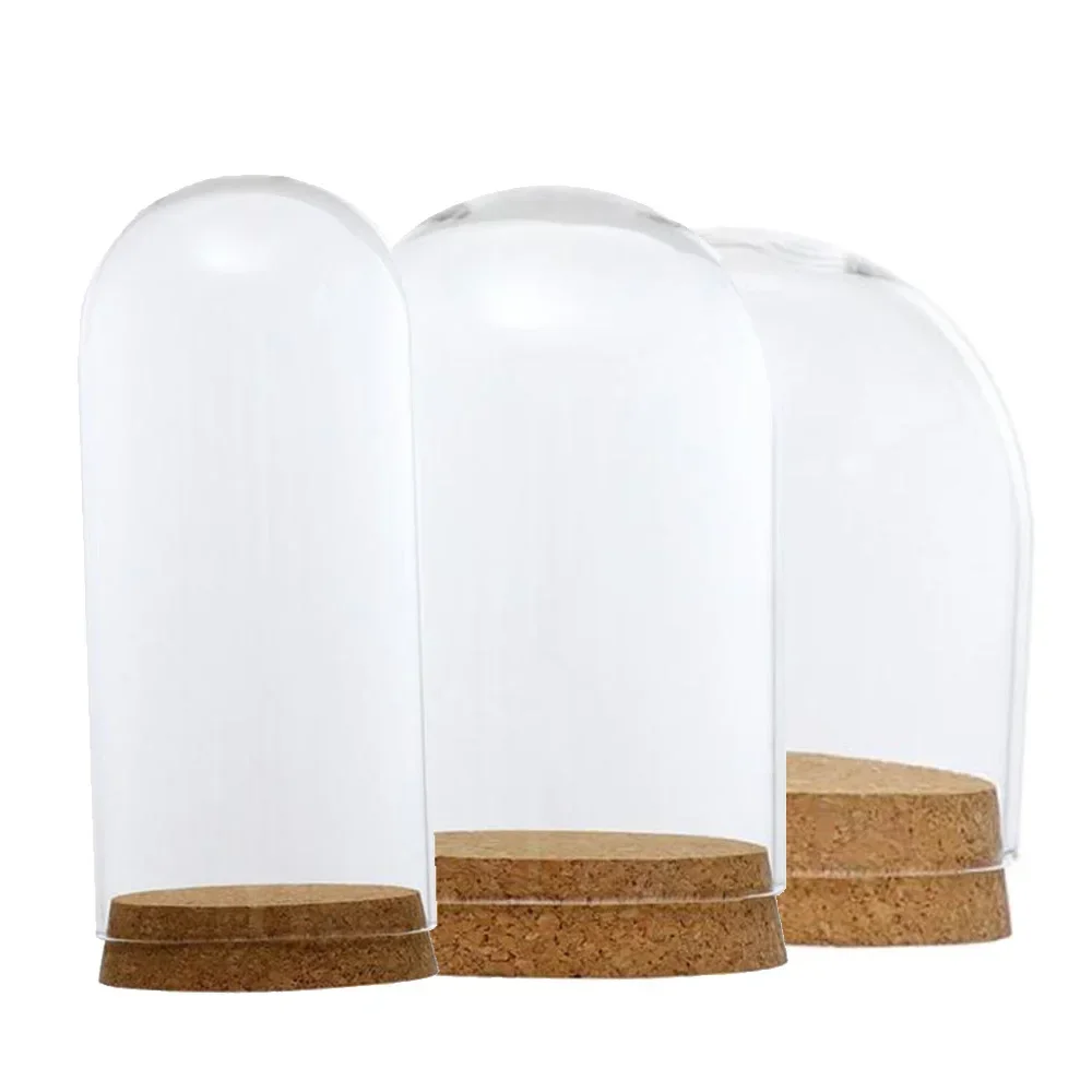 Home Decor Vases Glass Flower Display Cloche Bell Jar Dome Immortal Preservation Wooden Base Everlasting Flower Glass Cover NEW 4