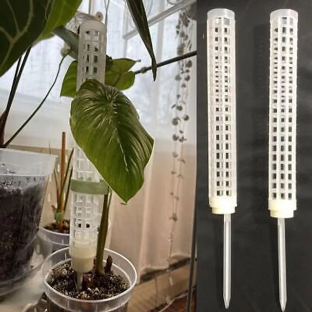 2 Db Hegymászó Növény Tét És Mohaoszlopok, Hogy Támogassák A Mászó Szobanövényeket Beltéri Virágnövény Szőlőmászó Tartó - Image 3