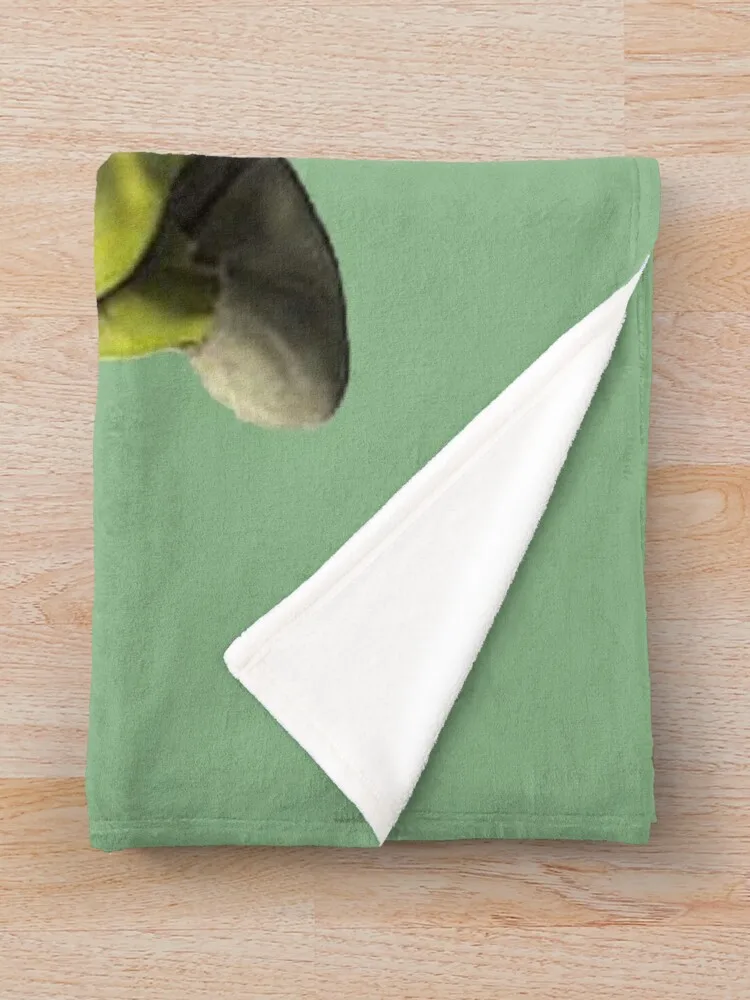 ShrekThrow ��� ŷ �ö��� ���