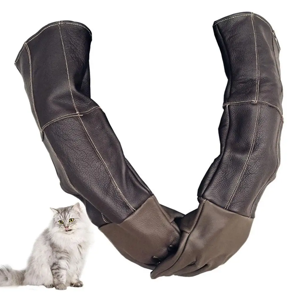 Guantes Protectores Antiarañazos Resistentes A Mordeduras, Guantes De Entrenamiento Para Animales, 1 Par Compra Barata En
